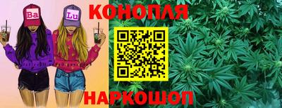 PSILOCYBIN Будённовск